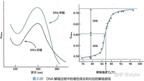 延年天醫|【延年天醫】延年天醫：數字能量學與易經數字DNA解。